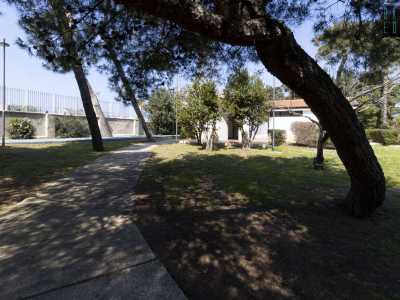 Sin da subito notiamo come la situazione qui sia pi� �spoglia�. Molti alberi, vittime del maestrale, sono incrinati e cadenti...